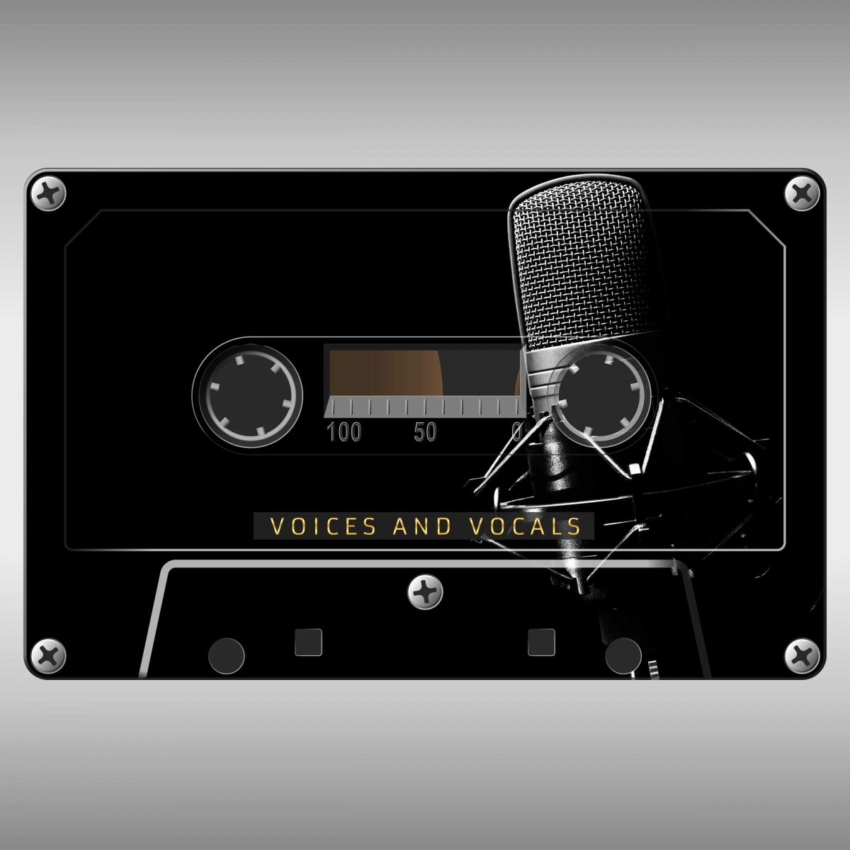 Voices And Vocals